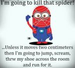 killthe spider