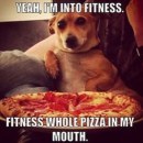 fitnessdog