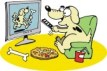 dog-tv1