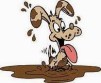 muddy-dog-2
