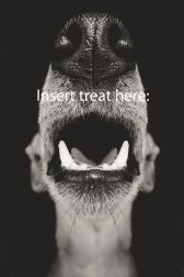 insert-treat